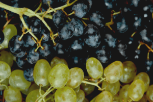 Read more about the article Why is Sulfur Dioxide Applied to Grapes?